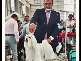 CLIFT 2
