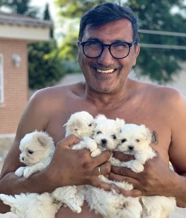 Echa un vistazo a nuestros cachorros