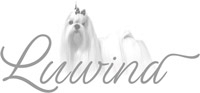 Luwind Malteses