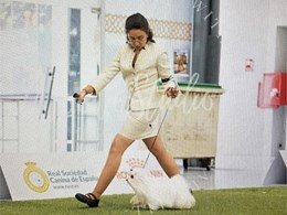 Miss Dolly punto obligatorio  latín winner 2026