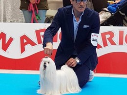 NEIL  EXPO 1
